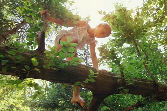 fille grimpant à un arbre 